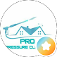 Pro Pressure Cleaners logo